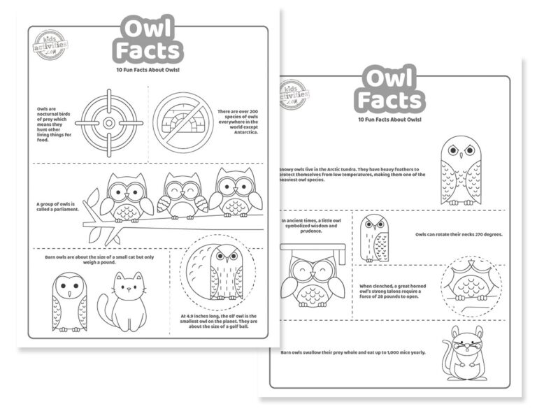 Owl Facts Coloring Pages Facebook