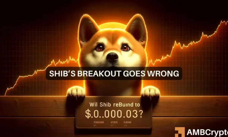 Shiba Inus breakout goes wrong 1000x600
