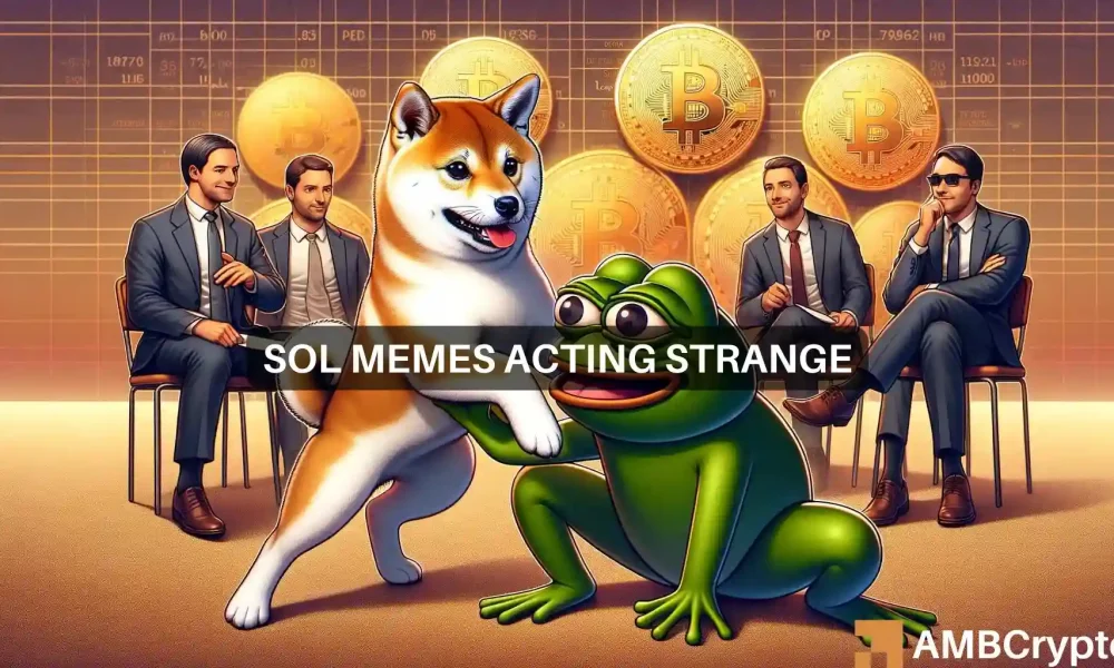 Solana memes are acting strage
