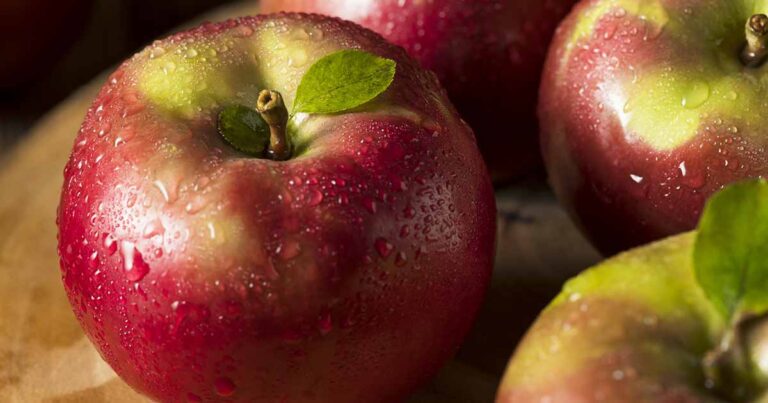 How to Grow McIntosh Apples FB