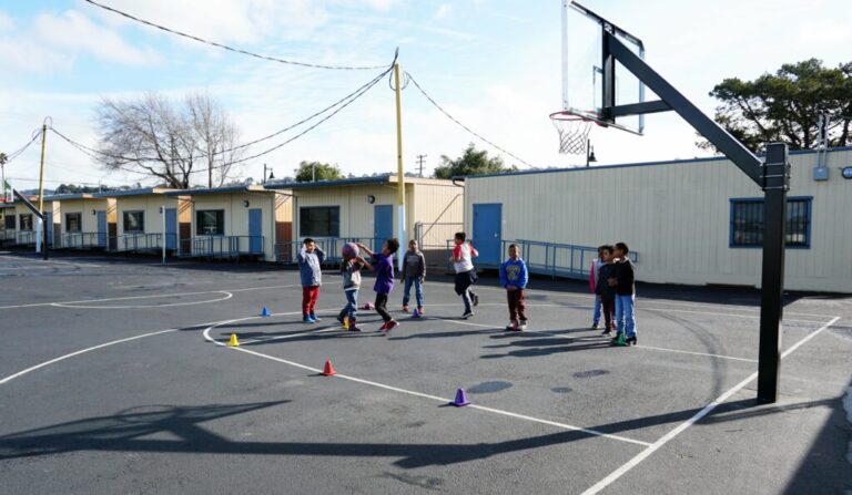 Stege Elementary37 1024x596