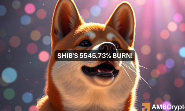 shiba canva 1000x600