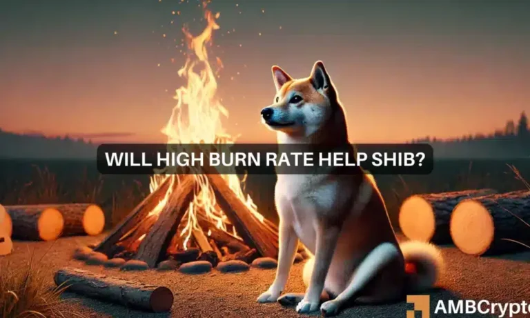 Will high burn rate help SHIB 1000x600