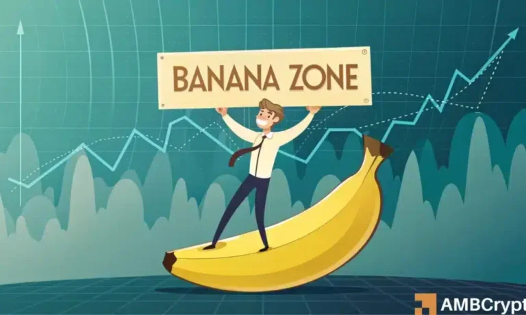 Banana zone 1000x600