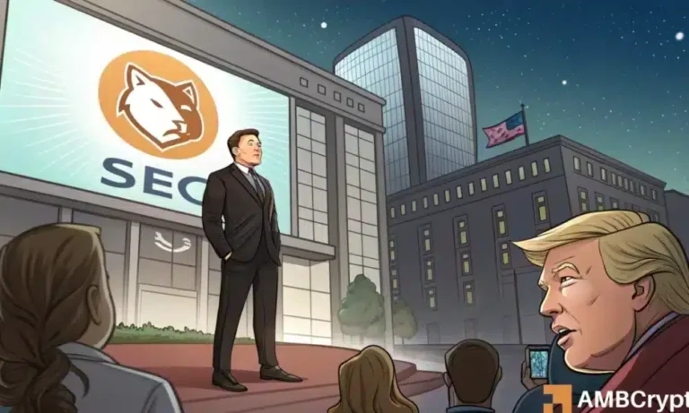 Elon Musk and DOGE SEC 1000x600.webp