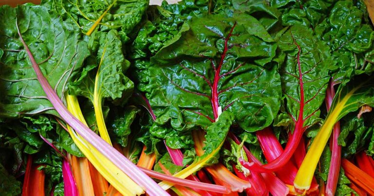 How to Harvest Swiss Chard FB