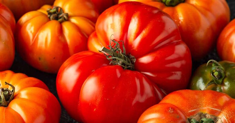How to Grow Beefsteak Tomatoes FB