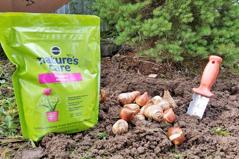 Learn How to Use Bone Meal in Your Garden