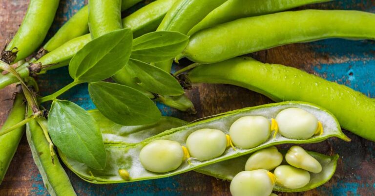 Whats the Difference Between Butter Beans and Limas FB