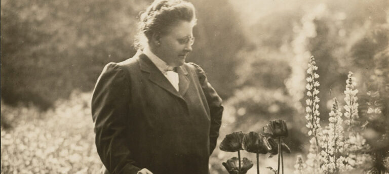amylowell