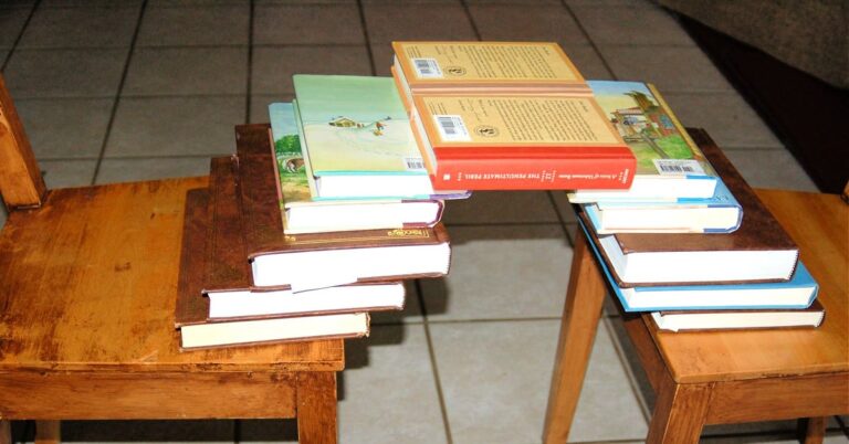 book bridge social kids activities blog copy