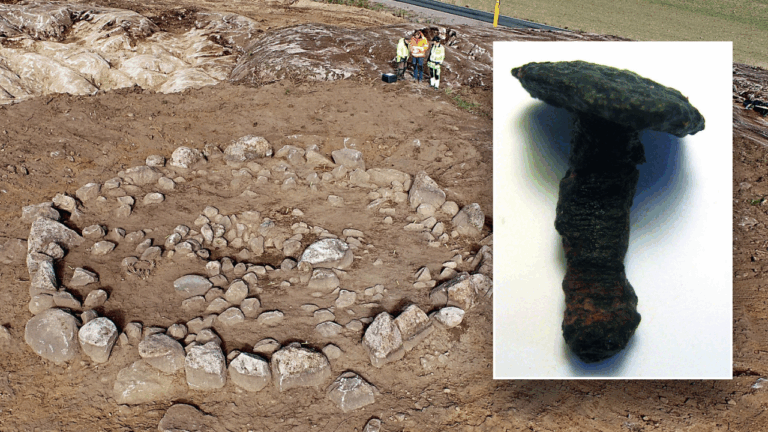 swedish viking archaeology 1